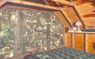 Though small, the cabin provides beautiful views of the forest.